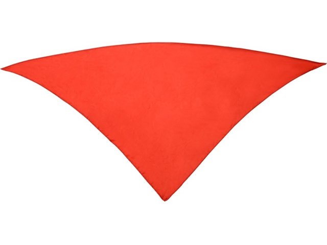 Шейный платок FESTERO треугольной формы (KPN900360)