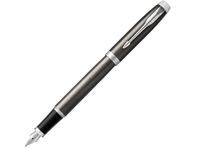 Перьевая ручка Parker IM, F (K1931650)