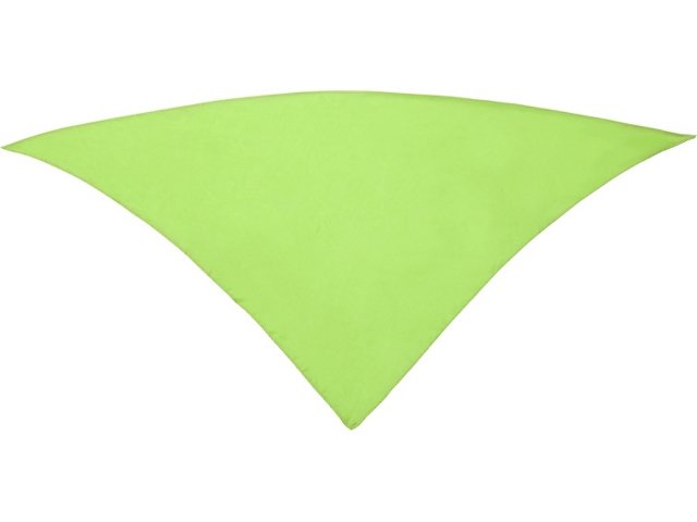 Шейный платок FESTERO треугольной формы (KPN900369)
