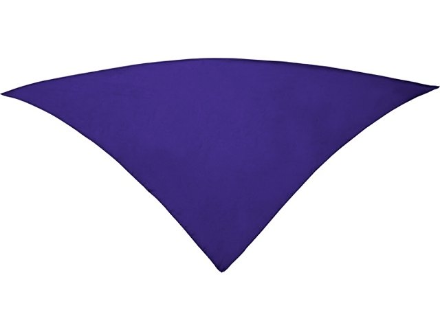 KPN900363 - Шейный платок FESTERO треугольной формы