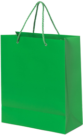 H21070/15 - Пакет подарочный GLAM 27х12х32  см, зелёный