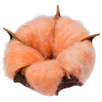 P15075.20 - Цветок хлопка Cotton, оранжевый