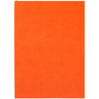 P17876.20 - Ежедневник Flat Light, недатированный, оранжевый