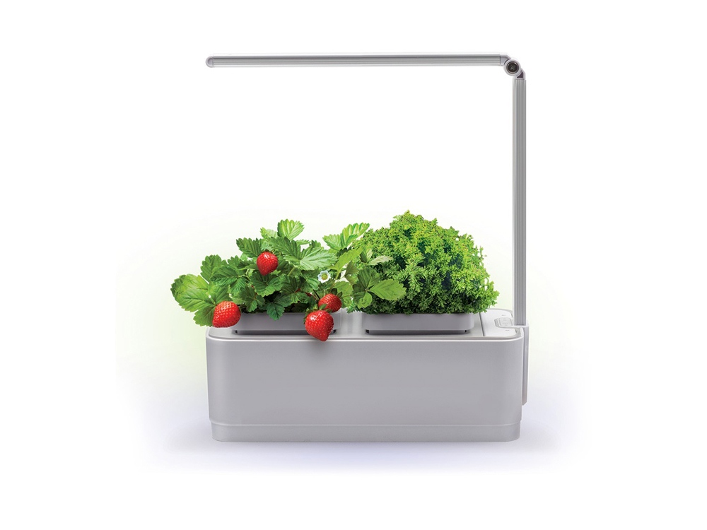 Артикул: K607703 — Компактный смарт-сад «iGarden LED» с подсветкой