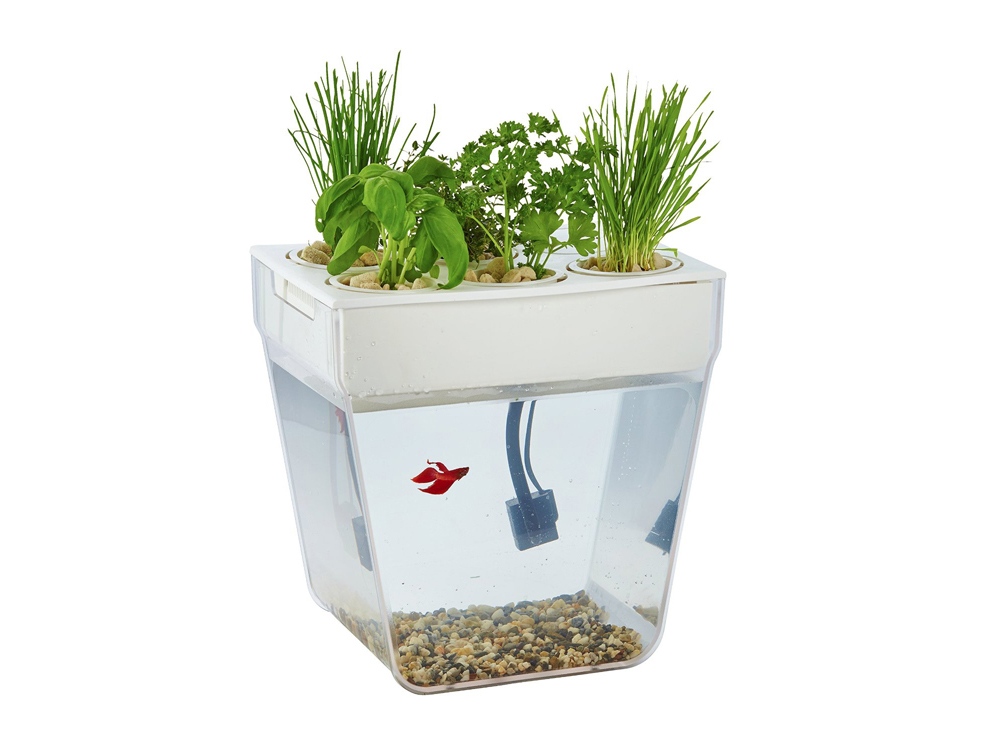 Артикул: K607701 — Набор для выращивания растений и ухода за рыбкой «Акваферма»