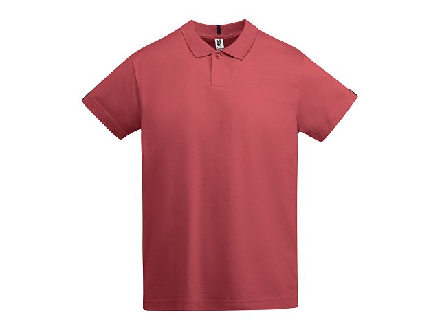 Рубашка поло «Tyler» мужская (K6612PO262)