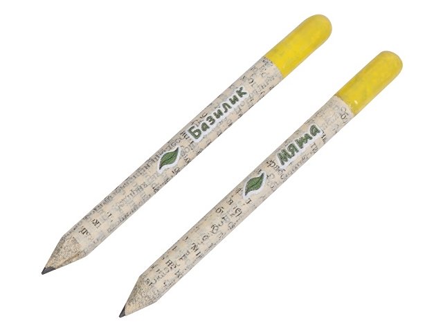 Набор «Растущий карандаш» mini, 2 шт. с семенами базилика и мяты (K220253)