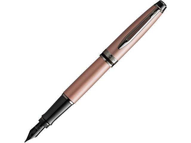 K2119261 - Ручка перьевая Expert Metallic, F
