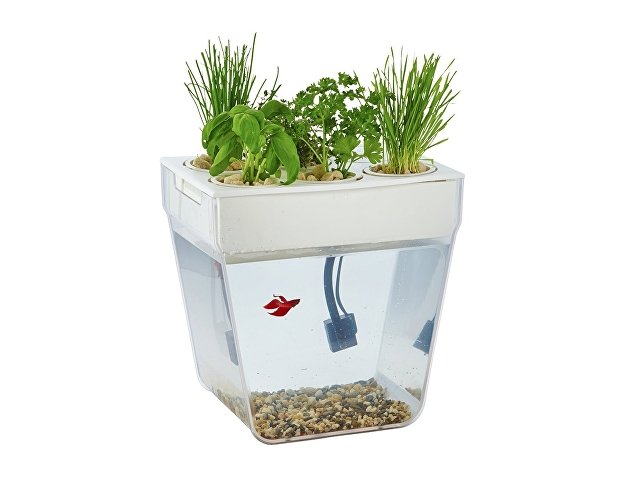 Набор для выращивания растений и ухода за рыбкой «Акваферма» (K607701)