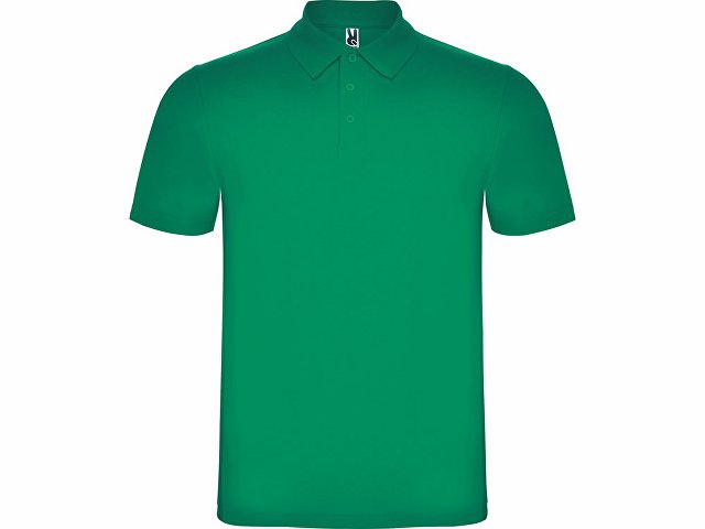 Рубашка поло «Austral» мужская (K663220)