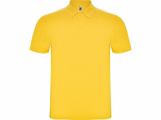 Рубашка поло «Austral» мужская (K663203)