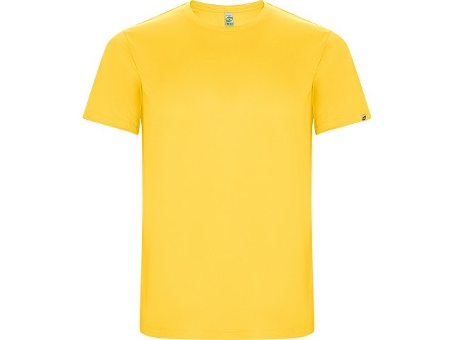 K427CA03 - Спортивная футболка «Imola» мужская