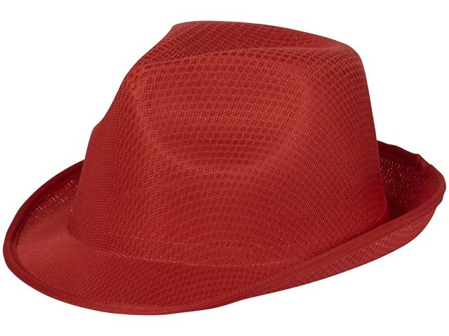 Шляпа «Trilby» (K38663250)