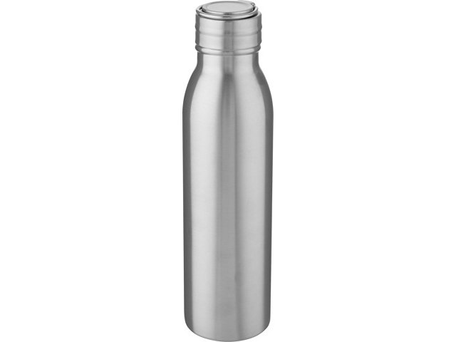 K10079281 - Бутылка для воды с металлической петлей «Harper», 700 мл