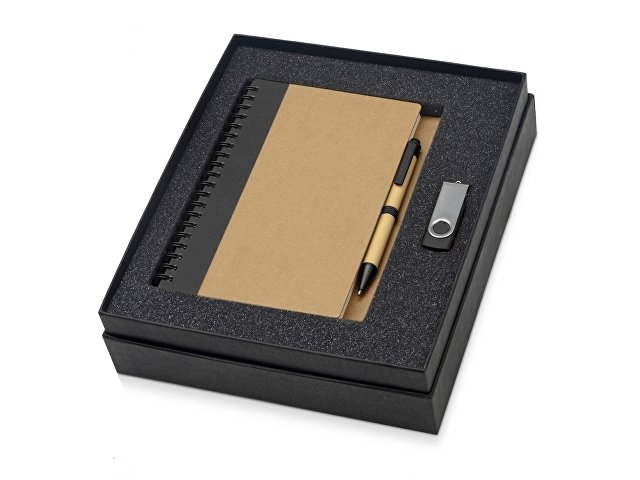 Подарочный набор Essentials с флешкой и блокнотом А5 с ручкой (K700321.07)