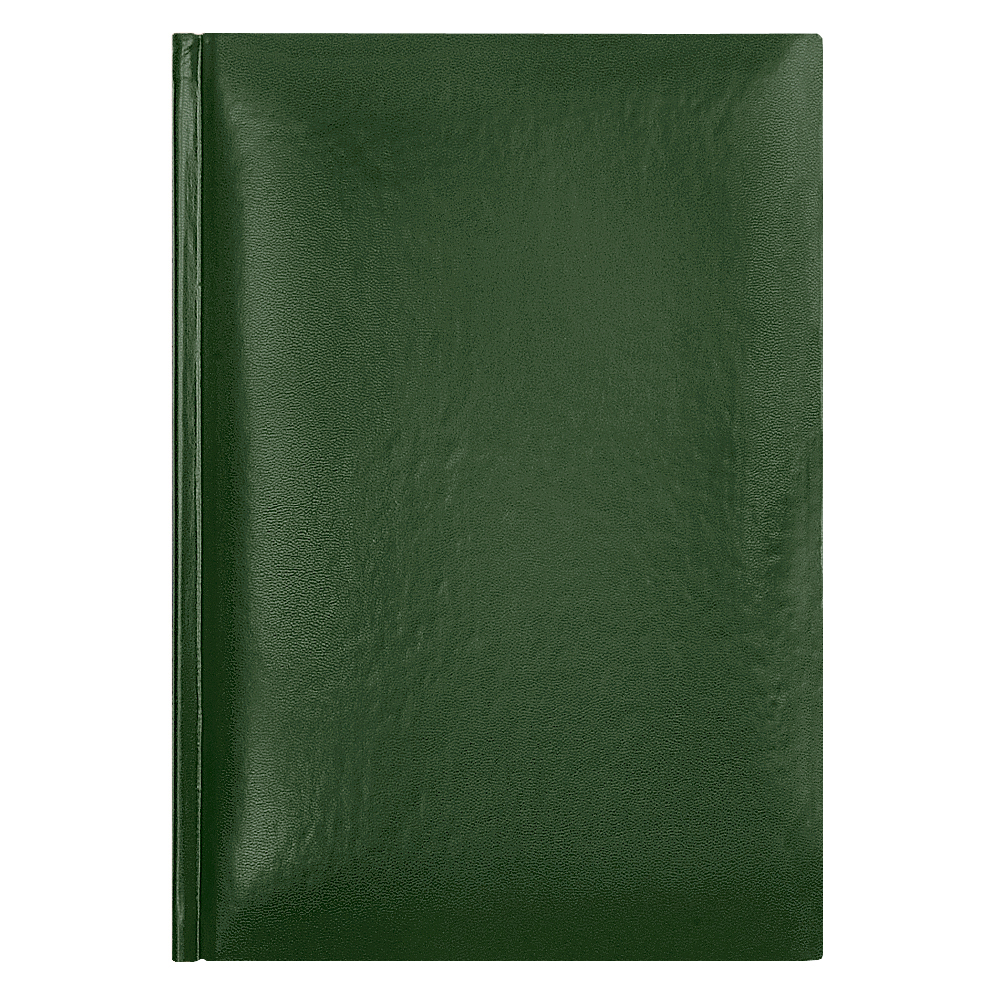 Артикул: A00108.040 — Ежедневник недатированный Manchester 145х205 мм, без календаря, зеленый