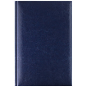 Ежедневник Birmingham, А5, датированный (2024 г.), синий (A24001.031)