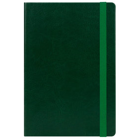 A00323.040 - Ежедневник недатированный Voyage BtoBook, зеленый (без упаковки, без стикера)