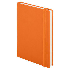 Ежедневник недатированный Canyon BtoBook, оранжевый (без упаковки, без стикера)