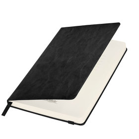 A00323.010 - Ежедневник недатированный Voyage BtoBook, черный (без упаковки, без стикера)