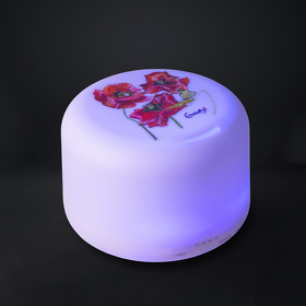 Увлажнитель-ароматизатор воздуха с подсветкой, Aero, 500 ml, белый