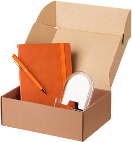 Подарочный набор Portland Btobook, оранжевый (ежедневник, ручка, зарядная станция) (A24201.070)