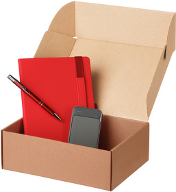 Подарочный набор Alpha, красный (ежедневник, ручка, аккумулятор) (A24204.060)