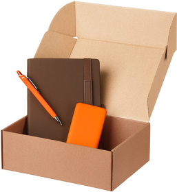 Подарочный набор Alpha, коричневый/оранжевый (ежедневник, ручка, аккумулятор) (A24205.070)