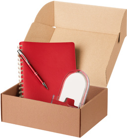 Подарочный набор Vista, красный (ежедневник, ручка, зарядная станция) (A24206.060)