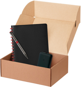 Подарочный набор Vista, черный/красный (ежедневник, ручка, аккумулятор) (A24210.010)