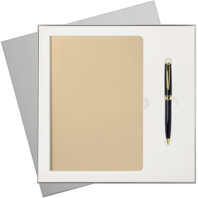 Подарочный набор Spark, белое золото (ежедневник, ручка) (A241148.112)