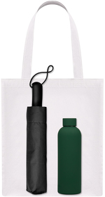 Подарочный набор Levante, зеленый (зонт, термобутылка, шоппер) (A241156.040)
