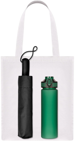 Подарочный набор Levante, зеленый (зонт, спортбутылка, шоппер) (A241158.040)