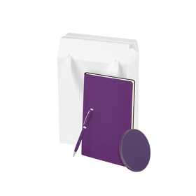 Подарочный набор Auris, фиолетовый (ежедневник, зарядное устройство, ручка) (A241163.034)