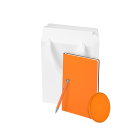 Подарочный набор Auris, оранжевый (ежедневник, зарядное устройство, ручка) (A241164.070)