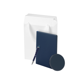 Подарочный набор Auris, синий (ежедневник, зарядное устройство, ручка) (A241165.030)