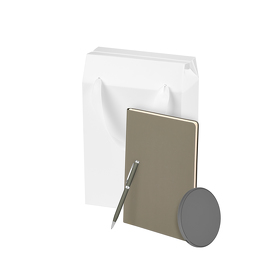 Подарочный набор Auris, серый (ежедневник, зарядное устройство, ручка) (A241166.080)