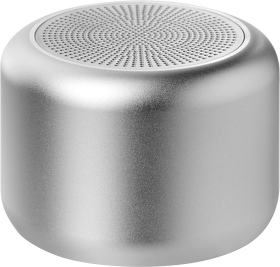 Беспроводная колонка Passion 80dB 600 mAh (Bluetooth 5.4), серебряная (A621002.111)