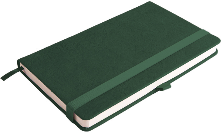 Артикул: H24618/17 — Ежедневник недатированный Starry , А5, темно-зеленый, кремовый блок