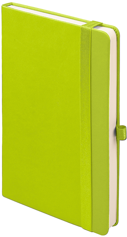 Артикул: H24614/36 — Ежедневник недатированный HAMILTON, A5, светло-зеленый, кремовый блок