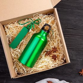 Набор подарочный ENERGYHINT: зарядное устройство, бутылка, коробка, стружка, зеленый