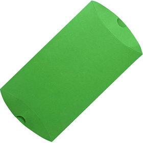 Коробка подарочная PACK; 23*16*4 см; зеленое яблоко (H32005/18)