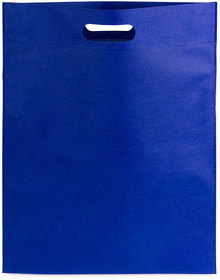 Сумка BLASTER, синий, 43х34 см, 100% полиэстер, 80 г/м2 (H343200/24)
