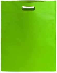 Сумка BLASTER, зеленый, 43х34 см, 100% полиэстер, 80 г/м2 (H343200/15)