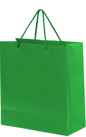 Пакет подарочный GLAM MINI 24х9х28 см, зелёный (H21071/15)