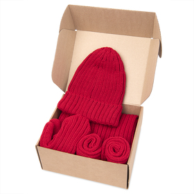 Набор подарочный НАСВЯЗИ©: шапка, шарф,  варежки, носки, красный (H39499/08)
