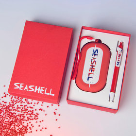 Набор SEASHELL-2:Универсальный аккумулятор(6000 mAh) и ручка в подарочной коробке,голубой, шт