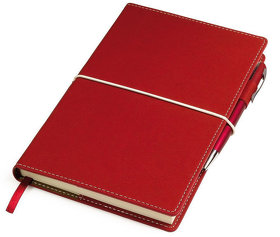 Бизнес-блокнот "BUSINESS", 140*210 мм, красный,  съемная обложка,  блок-линейка (H21207/08)
