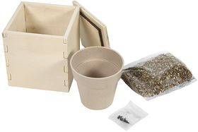 Горшочек для выращивания мяты с семенами (6-8шт) в коробке MERIN, биоразлагаемый материал, дерево, г