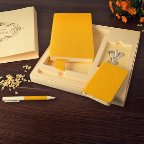 Набор подарочный PROVENCE; Универсальный аккумулятор(5000мАh), блокнот и ручка; сиреневый, шт